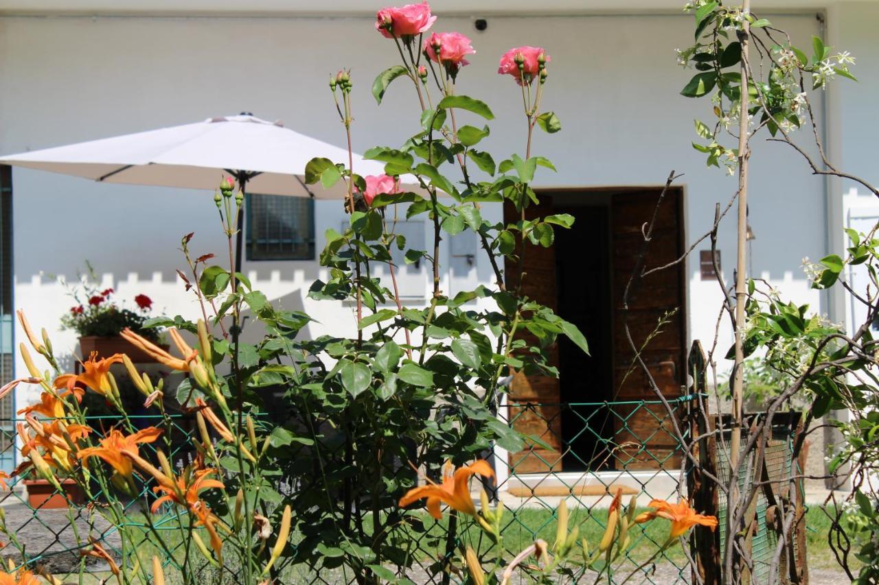 Il Casolare Del Medio Olona Bed and Breakfast Fagnano Olona Exteriör bild