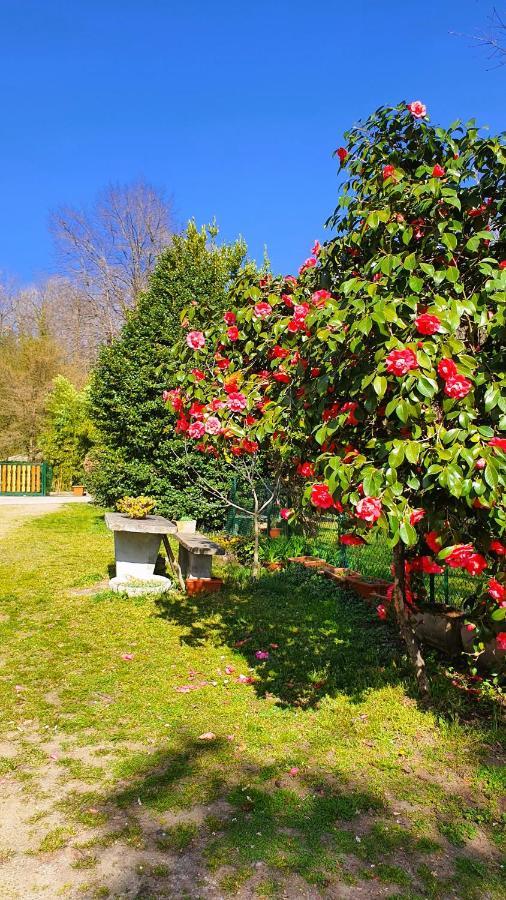 Il Casolare Del Medio Olona Bed and Breakfast Fagnano Olona Exteriör bild