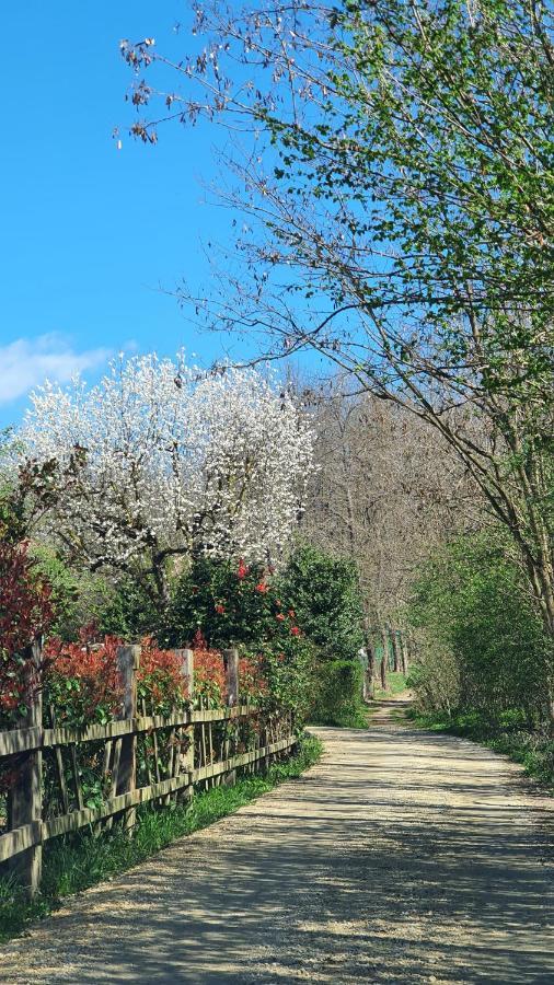 Il Casolare Del Medio Olona Bed and Breakfast Fagnano Olona Exteriör bild